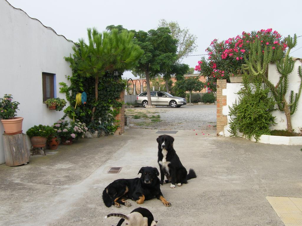 Can Selleretas Vilamacolum Quarto foto